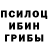 Псилоцибиновые грибы мухоморы Galina Zalyalova