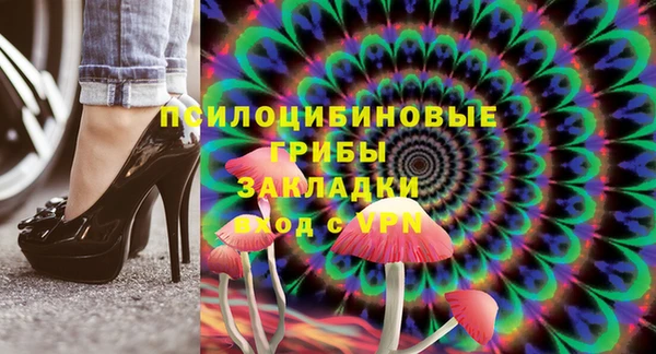 тгк Алексин