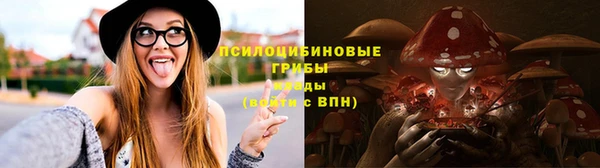 тгк Алексин