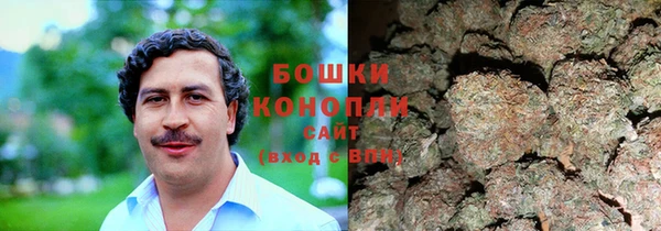 прущая мука Ельня