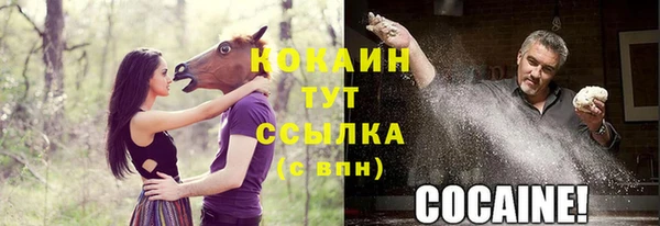 тгк Алексин