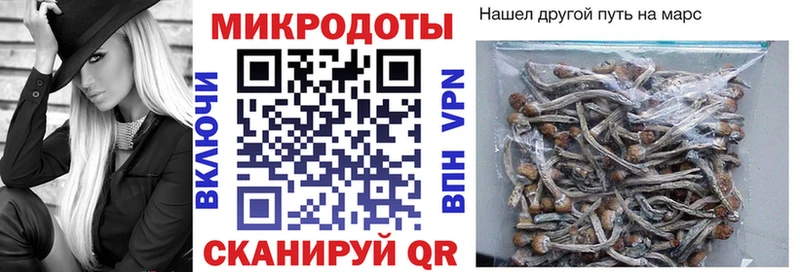 Псилоцибиновые грибы прущие грибы  где купить наркоту  Алзамай 